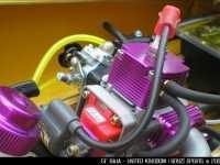 51_yellow_purple