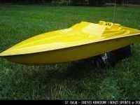 51_yellow_purple2