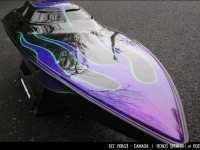 50.black_.purple_green1