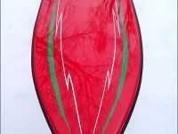 64.red_.semper082