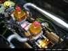 84.black_orange1