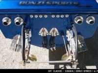 84_blueskulls2