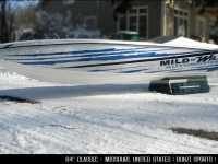 84_mild_wild1