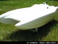 60white_cat