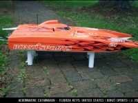 aeromarine_cat_orange_purple2