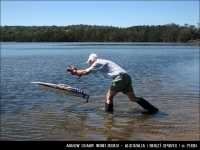 arrow_shark
