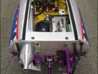 arrow_shark1