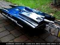 blue_cat2