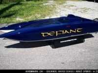 cat_defiant1